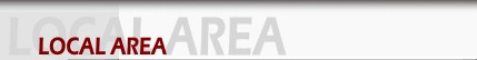 Discount Real Estate Agent