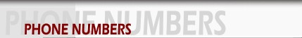 Discount Real Estate Agent
